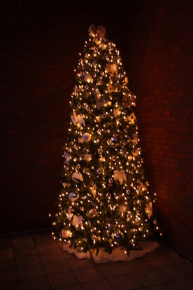 300 cm Luxe kerstboom huren