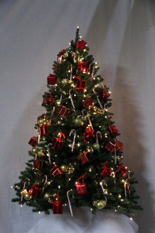 300 cm Luxe kerstboom huren