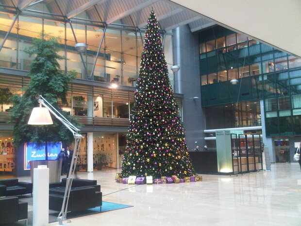 650 cm grote kerstboom huren