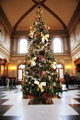 440 cm grote kerstboom huren