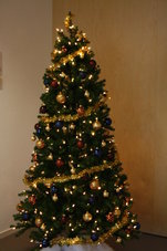 240-cm-Basis-Kerstboom-huren