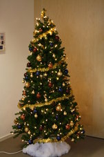 270-cm-Basis-Kerstboom-huren